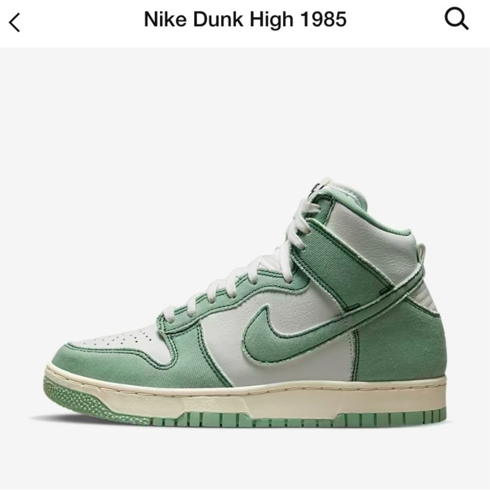 Nike Dunk High 1985